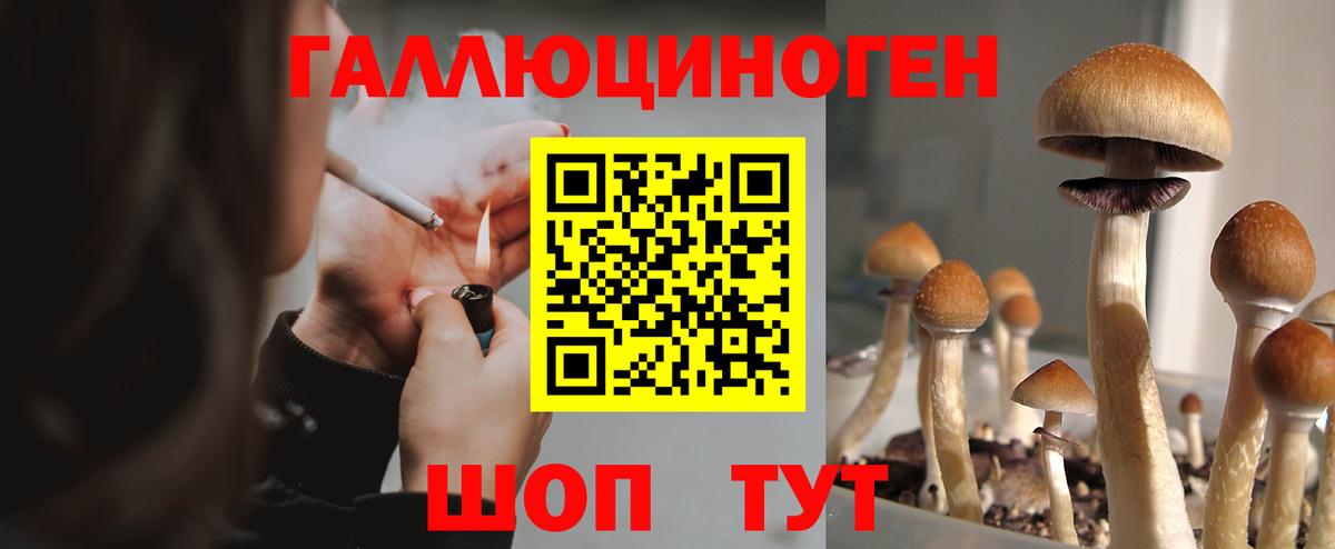 Псилоцибиновые грибы Cubensis Прокопьевск